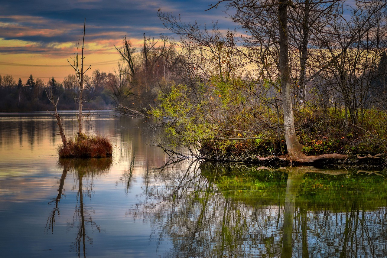The Importance of Water Conservation